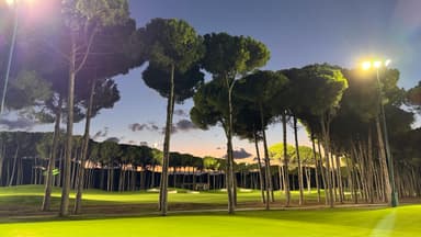A golf course surrounded by tall trees at dusk with lights illuminating the scene.