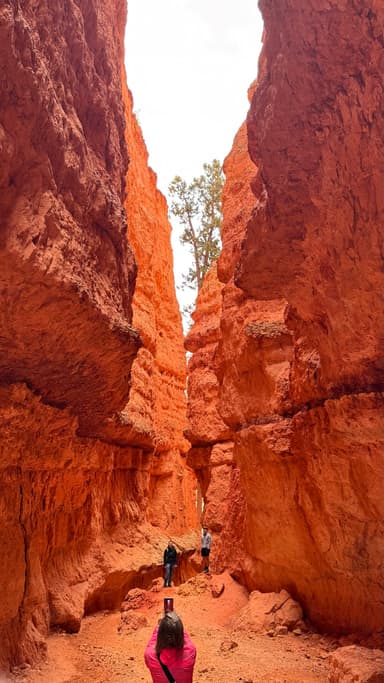 Un paysage de canyons rouges avec des personnes prenant des photos.