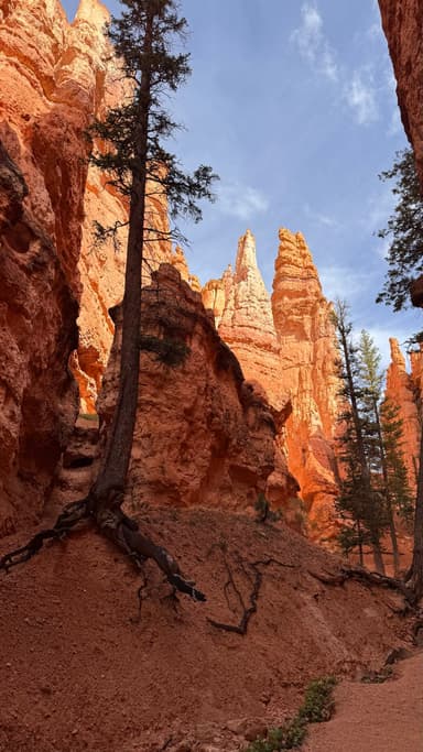 A scenic view of red rock formations and trees under a blue sky.