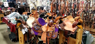 Des selles et harnais exposés dans un magasin.