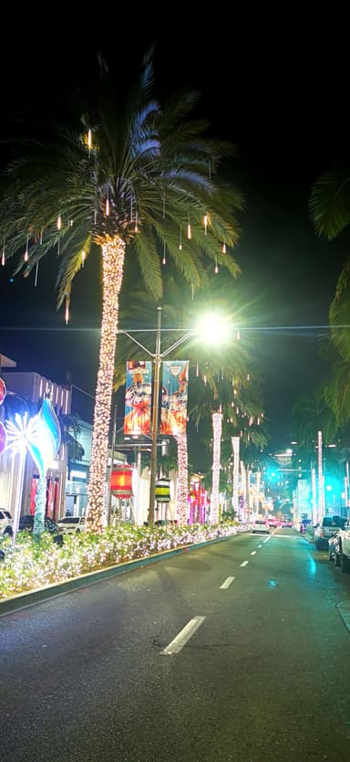 Une rue illuminée avec des palmiers décorés à Los Angeles la nuit.