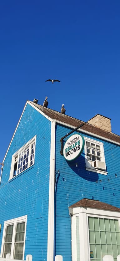 Un bâtiment bleu avec des oiseaux sur le toit sous un ciel clair.