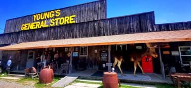 Un magasin en bois avec un grand élan à l'entrée sous un ciel bleu.