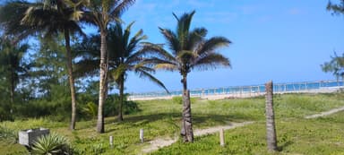 Une plage avec des palmiers et un ciel bleu à Manabí.