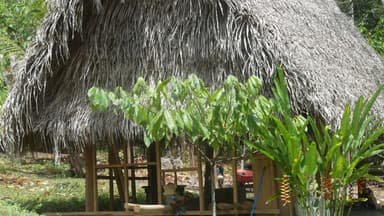 Une cabane en paille entourée de verdure.