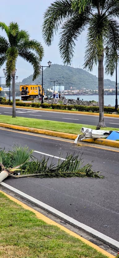 Une route avec des palmiers et une vue sur la mer à Panamá Oeste.