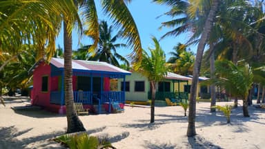 Des cabanes colorées sous des palmiers sur une plage ensoleillée.