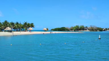 Une plage avec des palmiers et des huttes sous un ciel bleu.