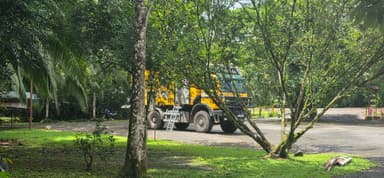Un camion jaune dans une forêt tropicale verdoyante.
