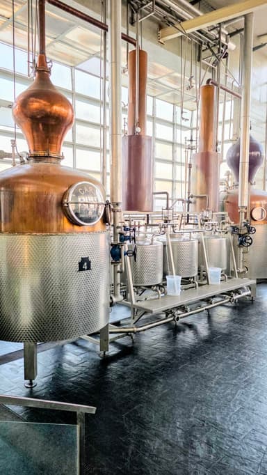 Des alambics en cuivre dans une distillerie lumineuse.
