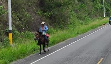 Un cavalier sur une route entourée de verdure.
