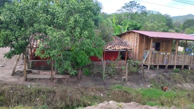 Une maison en bois avec un toit en tuiles et des arbres autour.