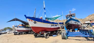 Des bateaux colorés sur la plage sous un ciel bleu.