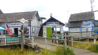Des bâtiments colorés sur un quai à Homer.