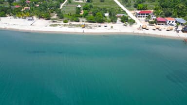 Une vue aérienne d'une plage tranquille avec des cabanes et des palmiers.