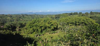 Une vue panoramique des collines verdoyantes et des arbres sous un ciel bleu.