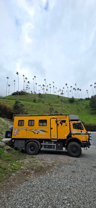 Un camion jaune stationné devant des palmiers sur une colline verte.