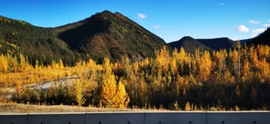 Un paysage d'automne avec des montagnes et des arbres dorés.
