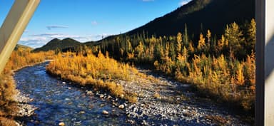 Un paysage d'automne avec une rivière et des arbres dorés.