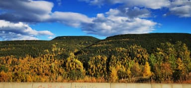 Un paysage d'automne avec des arbres colorés sous un ciel bleu.