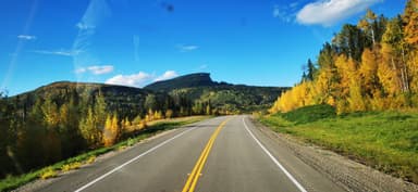 Une route bordée d'arbres aux couleurs d'automne sous un ciel bleu.