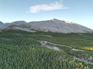 Une vue panoramique des montagnes et des forêts verdoyantes.