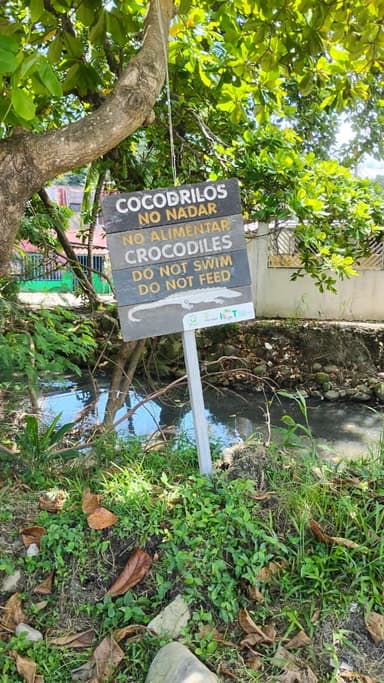 Un panneau avertissant des crocodiles près d'un ruisseau ensoleillé.