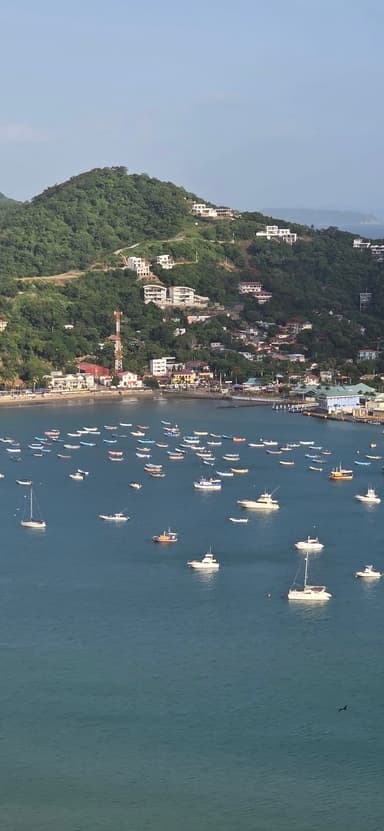 Une vue panoramique de bateaux dans une baie entourée de collines verdoyantes.