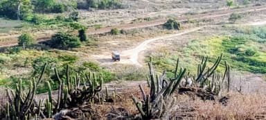 Un paysage de Bolivar avec des cactus et un chemin de terre.
