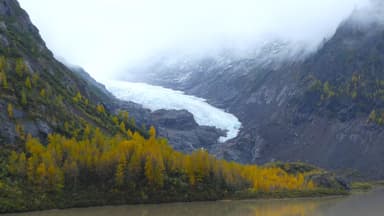 Un glacier majestueux entouré de montagnes et d'arbres jaunes.