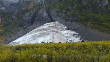 Un glacier sur une montagne avec de la végétation en avant-plan.