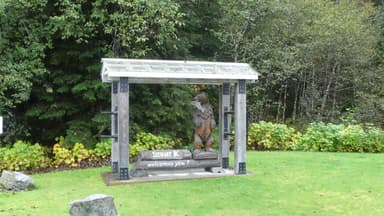 Une statue d'ours en bois avec un panneau de bienvenue dans un parc verdoyant.