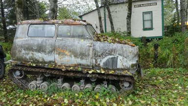 Une voiture ancienne recouverte de feuilles dans un environnement naturel.