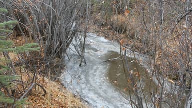 Un ruisseau partiellement gelé entouré d'arbres et de feuillage d'automne.