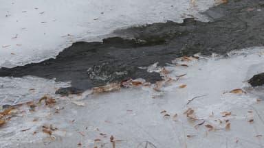 Un ruisseau partiellement gelé avec des feuilles sur la glace.