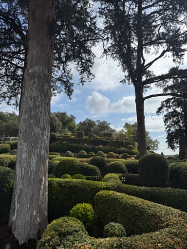 Un jardin bien entretenu avec des buissons taillés sous un ciel nuageux.