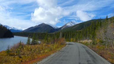 Une route bordée d'arbres et de montagnes sous un ciel nuageux.