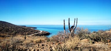 Un paysage côtier avec des cactus et une mer bleue sous un ciel clair.