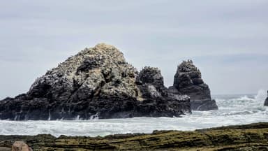 Des rochers marins avec des oiseaux sur la côte.