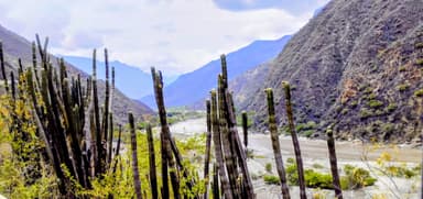 Un paysage de montagnes avec des cactus et une rivière à Santander.