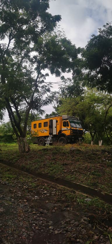 Un camion jaune stationné sous des arbres verts.