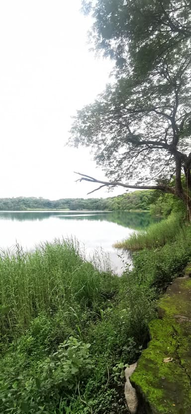 Un lac calme entouré de verdure et d'arbres.