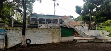 Un bâtiment avec un toit en tôle et des arbres autour.