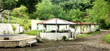 Une scène tranquille avec une cabane et de la verdure autour.