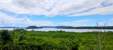 Une vue panoramique de la nature luxuriante et de l'eau à Veraguas, Panama.