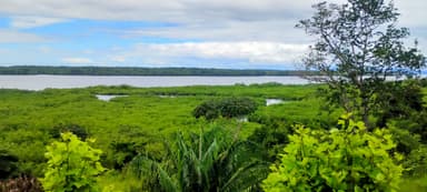 Une vue panoramique de la nature luxuriante à Veraguas, Panama.