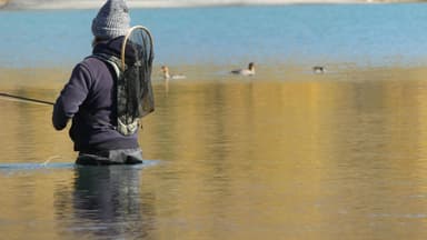 Un homme pêche dans un lac calme avec des canards au loin.