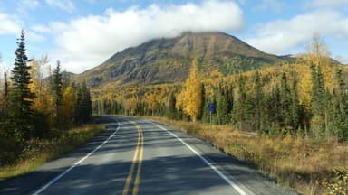 Une route sinueuse entourée d'arbres aux couleurs d'automne et d'une montagne en arrière-plan.
