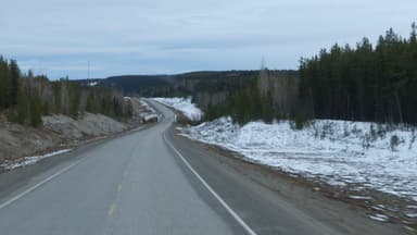 Une route sinueuse entourée d'arbres et de neige.
