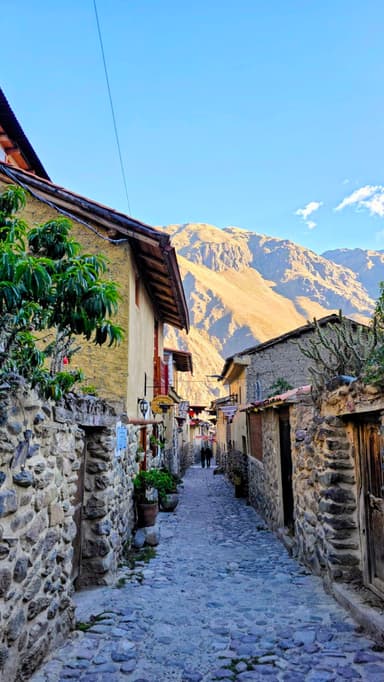 Une ruelle pavée avec des maisons en pierre et des montagnes en arrière-plan.